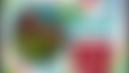 The Power Of Seaweed-Elif,Tunç,Zeynep and Hilal Benan