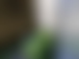 Russia-Ukraine War and Our Opinions-Yaman and Emir