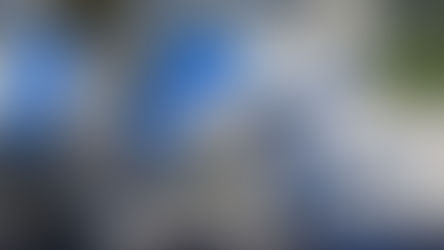 The Next Four Games are Crucial for the Detroit Lions' Playoff Push