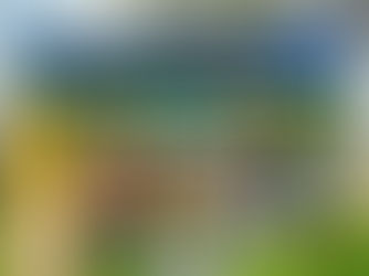 Nào chúng ta cùng check-in đón Tết tại "Góc xuân UEL"