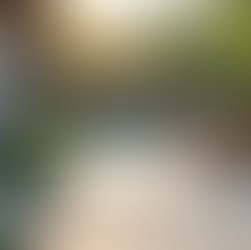 Keep Your Outdoor Space Spotless with Patio Cleaning Services