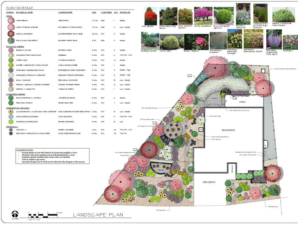 Planting Plan showing the details and images of plants