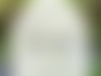 EP-197 屋久島旅行 Yakushima Trip