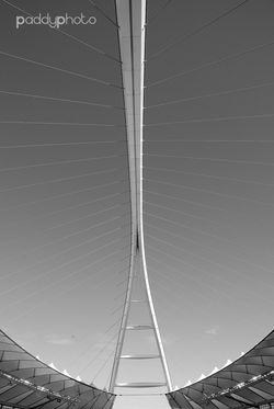 PAT_1877 mono small.JPG