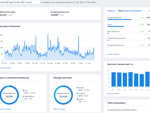 Screenshot aus dem Analytics von fcreinach.ch