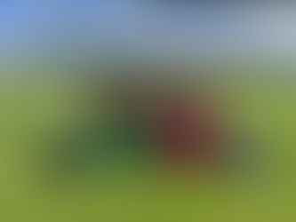 Mannschaftsfoto Fa Junioren nach einem Turnier im Sommer 2025