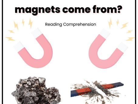 Where did the first magnets come from?