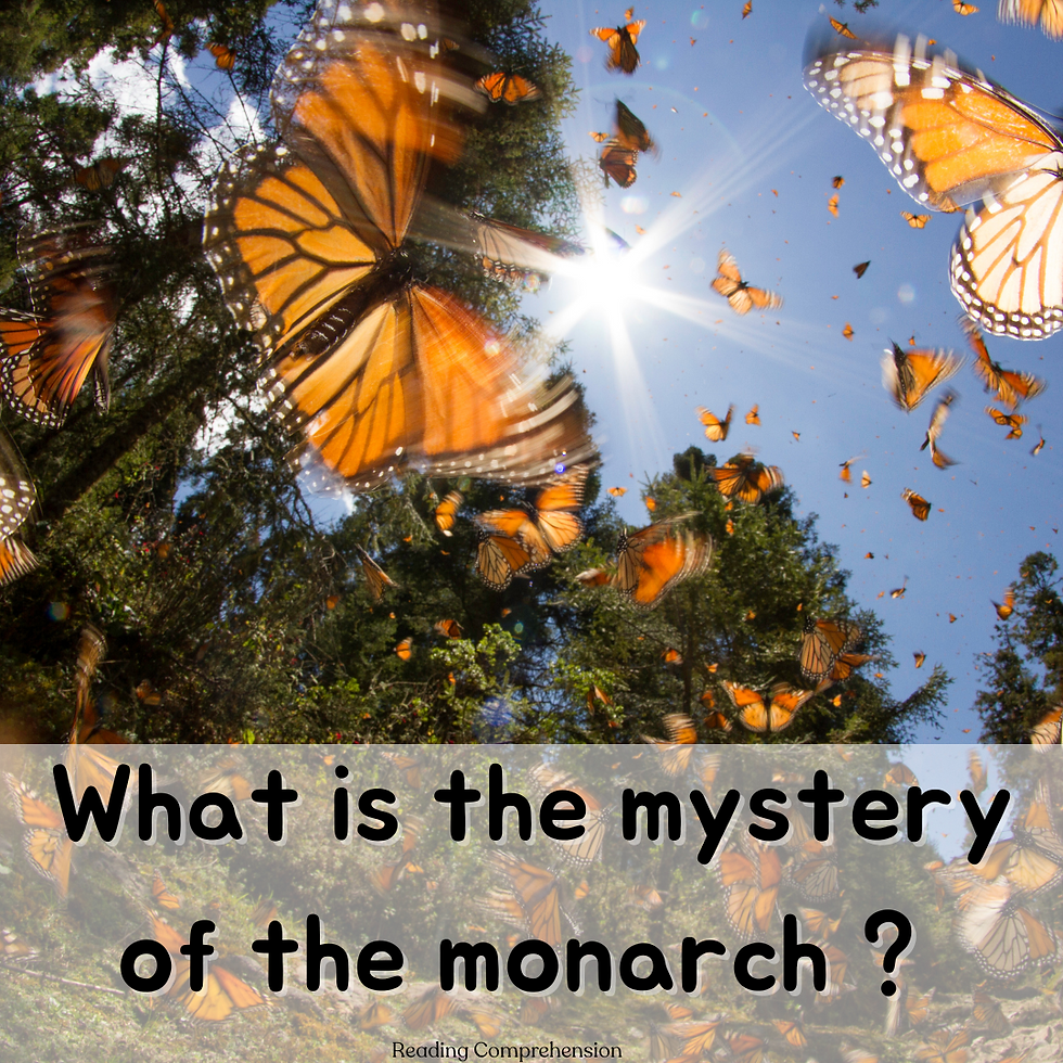 What is the mystery of the monarch? Reading Comprehension Lesson