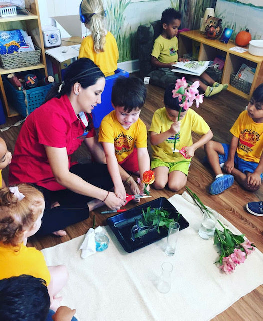 Early Steps Montessori