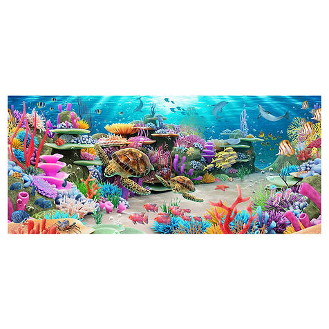 scuba backdrop.jpg