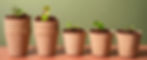 Changing growth in pots