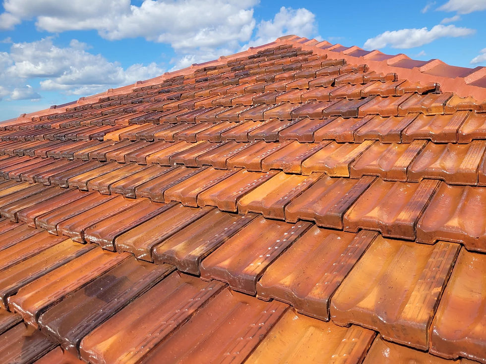 roof repair.jpeg