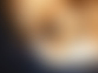 Recognising the Signs of Pet Stress and How to Help