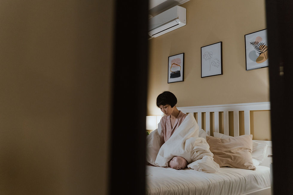 Managing Difficult Evenings and Nights After Losing a Beloved Pet