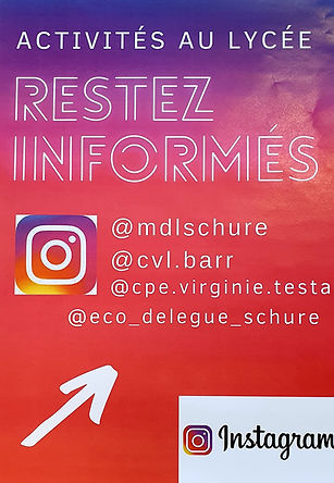 Affiche comptes insta.jpg