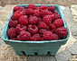 Pint Fresh picked Raspberries _edited.jpg