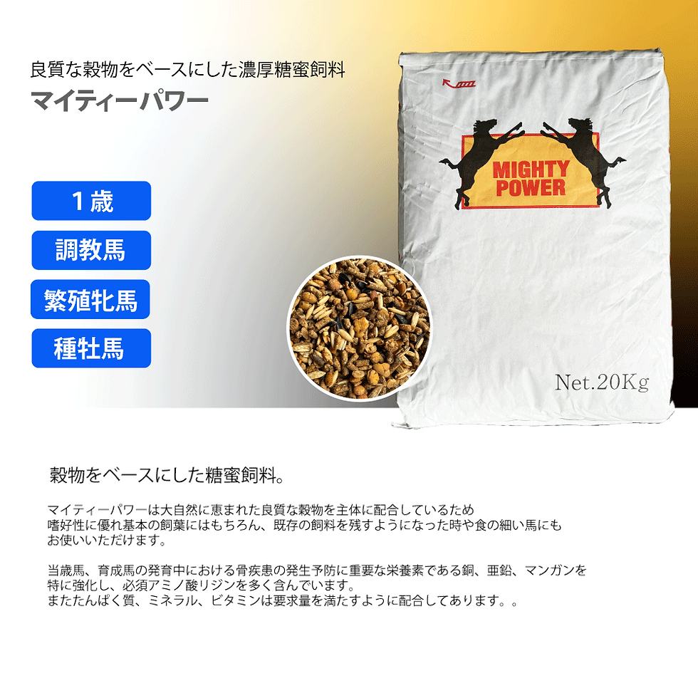 サムネイル： マイティパワー