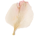 natural-dried-flower-wallpaper-pattern8.png