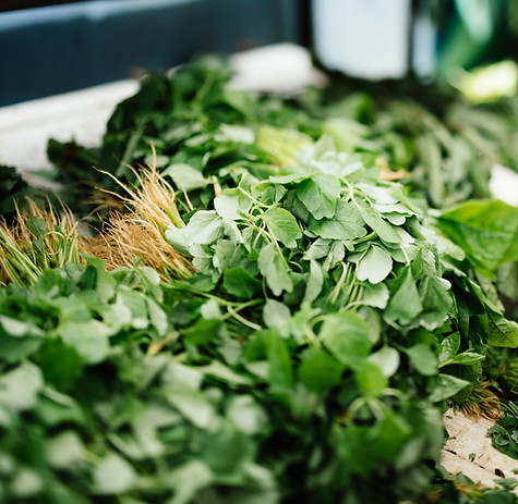 Green Vegetables