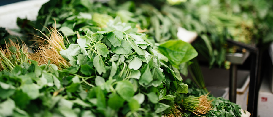 Légumes verts | Alimentation vivante oise | atelier alimentation vivante oise| stage alimentation vivante oise | formation alimentation vivante oise | crusine oise compiegne | stage crusine oise | atelier crusine oise | douceurs crues oise compiegne | douceurs crues alimentation crue oise | douceurs crues cuisine crue oise | crusine academie stage oise | irene grosjean alimentation vivante crusine oise stage formation cuisine crue | alimentation crudivore oise compiègne douceurs crues| atelier cuisine végétarienne crue oise| cuisine vivante stage atelier compiegne oise douceurs crues | Douceurs crues Nathalie Boez naturopathe sainte geneviève oise compiegne atelier cruisine crue 