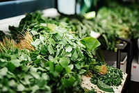 Green Vegetables