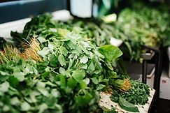Vegetales verdes