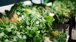 Balancing Hormones w/ Dark Leafy Greens