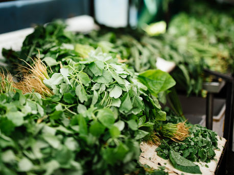 Mineral Deficiencies and The Human Body