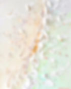 Photoroom_20260501_114909.jpeg