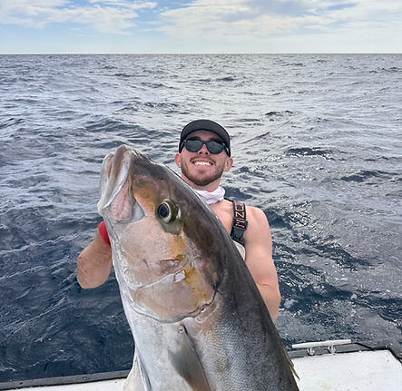 giant amberjack