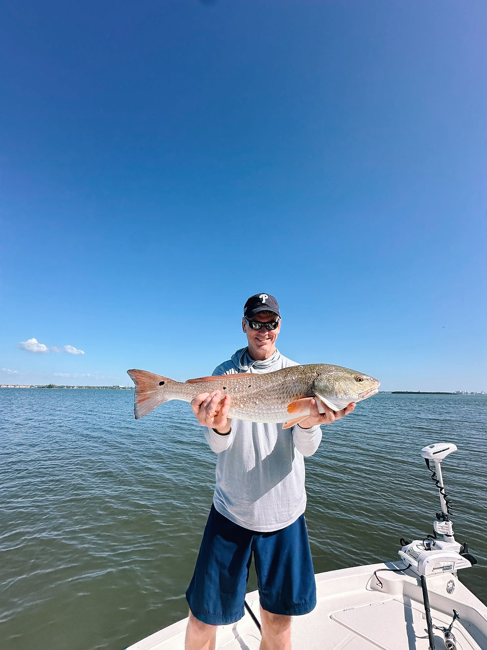 Spring Fishing Report - Clearwater, Florida