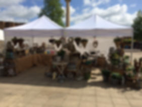 File 11-07-2018, 09 16 48.jpeg