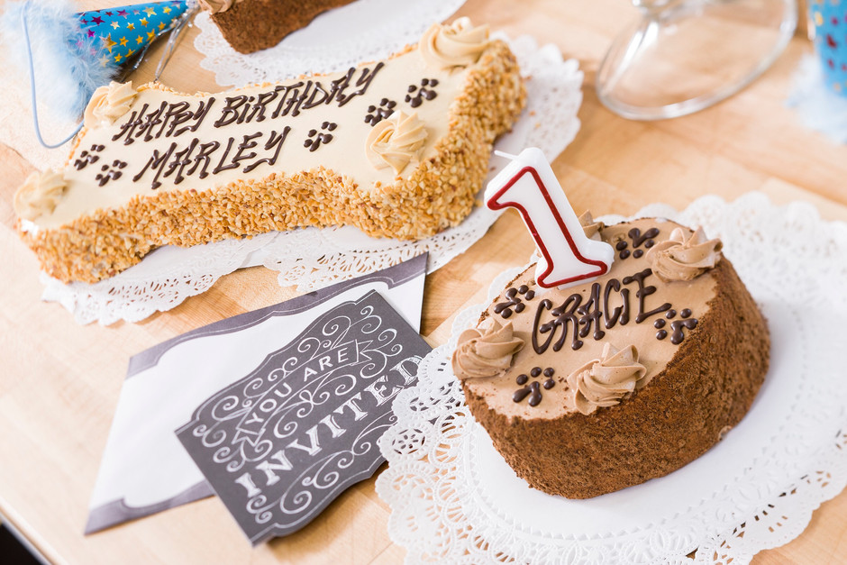 Ask Astro: A Cake for K-9's???