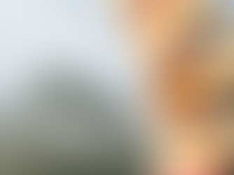 Can a Compression Fracture Be Missed on Initial Evaluation?