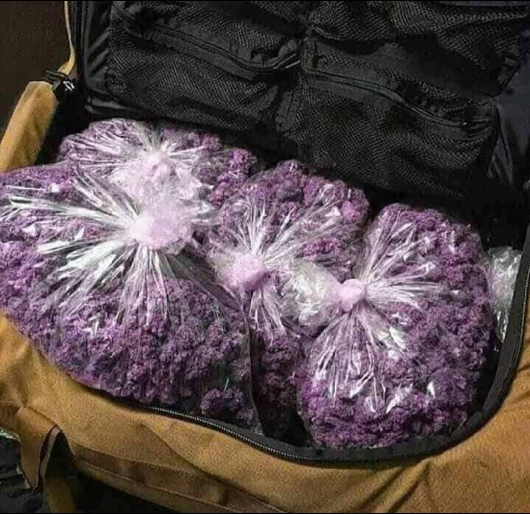 Purple kush