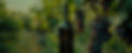 FARM_865449863.jpg
