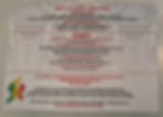 Charity Gala Invitation