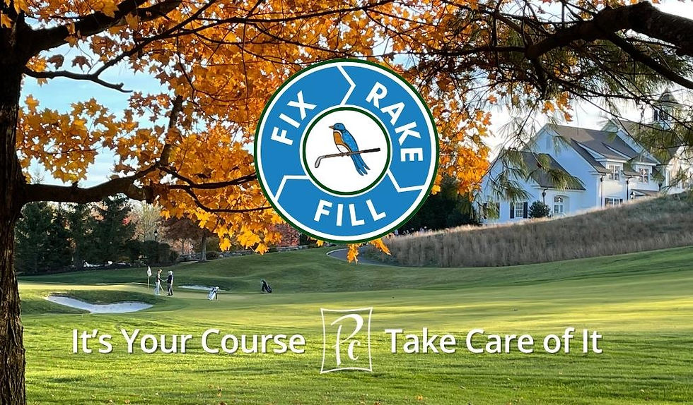 Fall_Photo_for_Visage_Cart_Screen