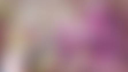  Él es el verdadero refugio, la paz, y consuelo. 