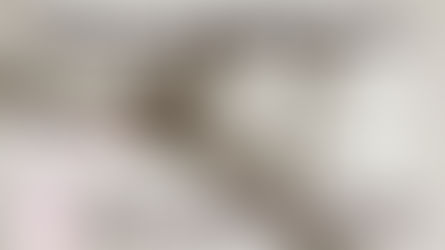 ACOMPAÑAMIENTO------