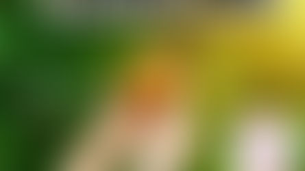 FRUTOS DIGNOS DE ARREPENTIMIENTO