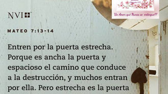 “Contemplemos más de su amor”