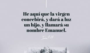 Déjalo entrar...