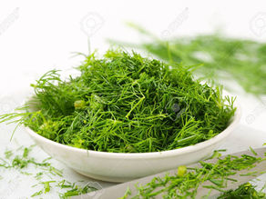 L'aneth (Anethum graveolens)