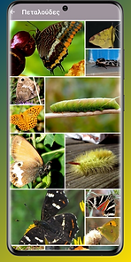 Samsung Galaxy S20 Ultra Screenshot 6.png