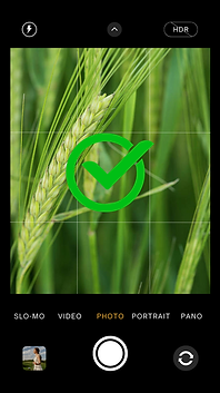 Christos Apostolou Developer / Counter Agriculture - Natage - ΦύτεψεΤο - Panicos Gr - Γέφυρα Ζωής - Des kai auto - Ksou Ksou - Θέλω να πρασινισω - Δράσε για αυτους - KatsaridoKsouKsou