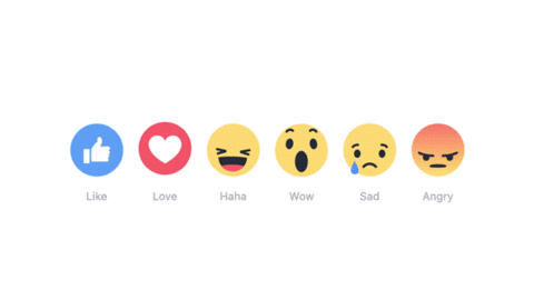 reactions 2.gif