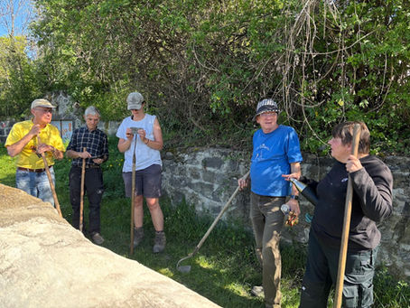 Travaux en 2026 dans la vigne pédagogique