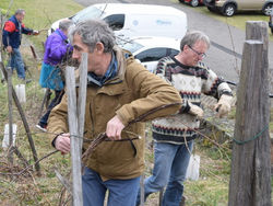 Taille de la vigne du musée 10 mars