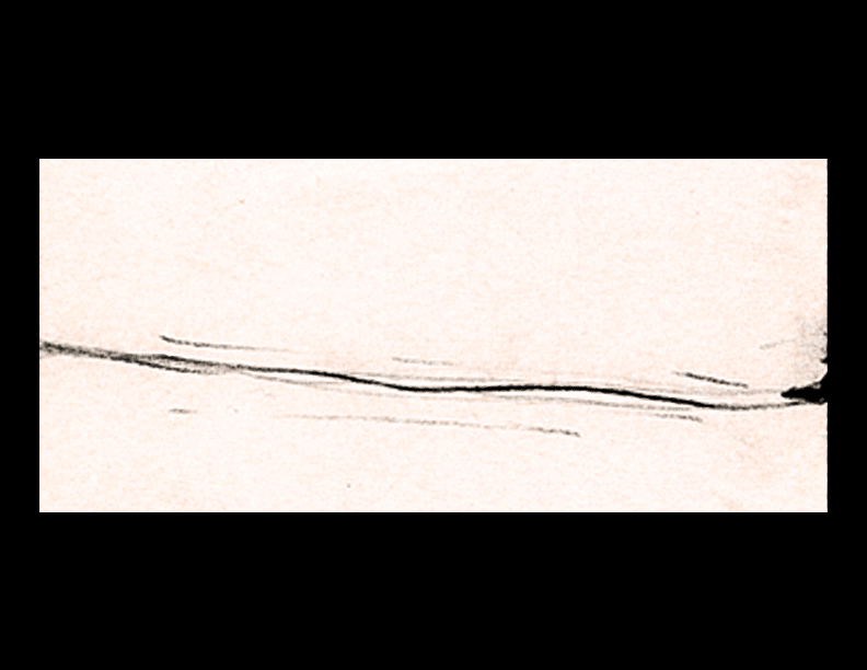 WalktheLine_tmp (1).gif